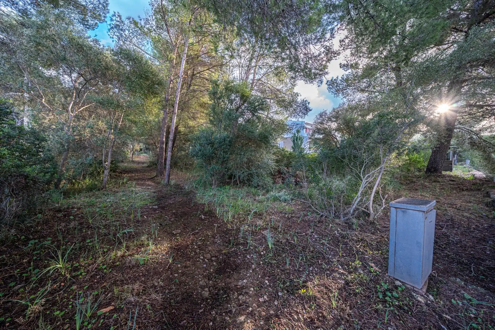 Terreny rústic en venda a Colònia de Sant Pere, imagen 10
