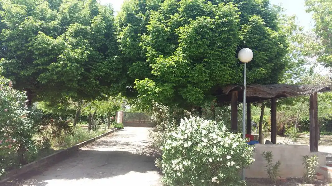 Xalet amb terrassa en venda a Argamasilla de Calatrava, imagen 2