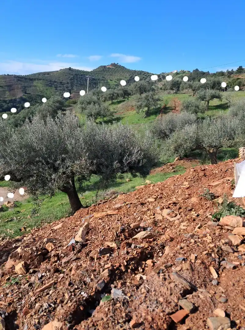 Finca rústica en venda en Almuñécar amb Traster, Moblat i Forn