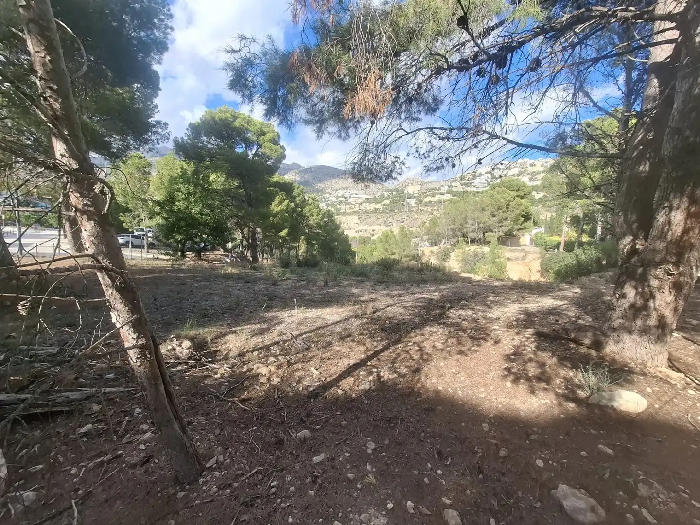 Lands and plots for sale in Mascarat, imagen 15