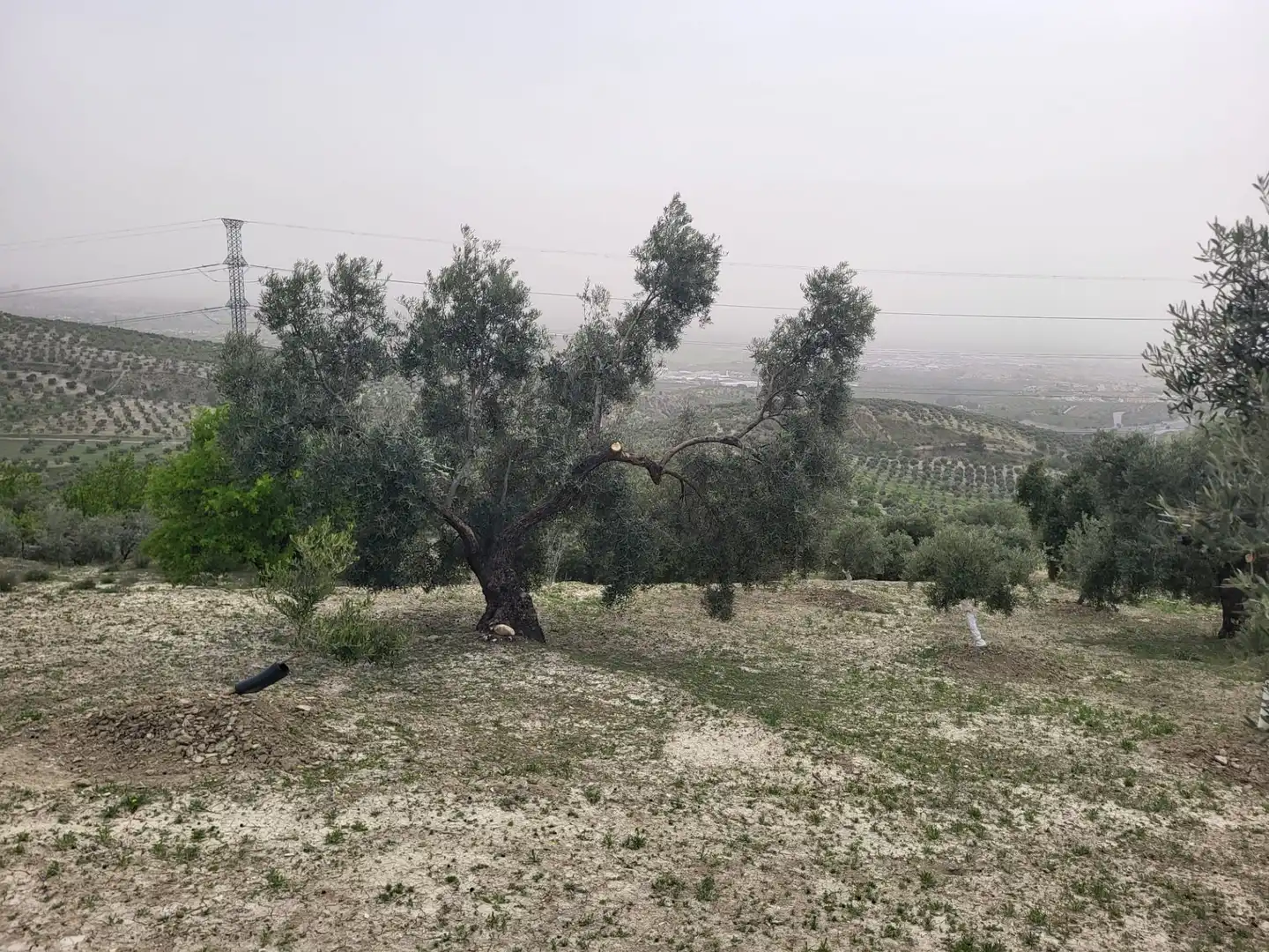 Rustikales Grundstück zum Verkauf in Güevéjar, imagen 8
