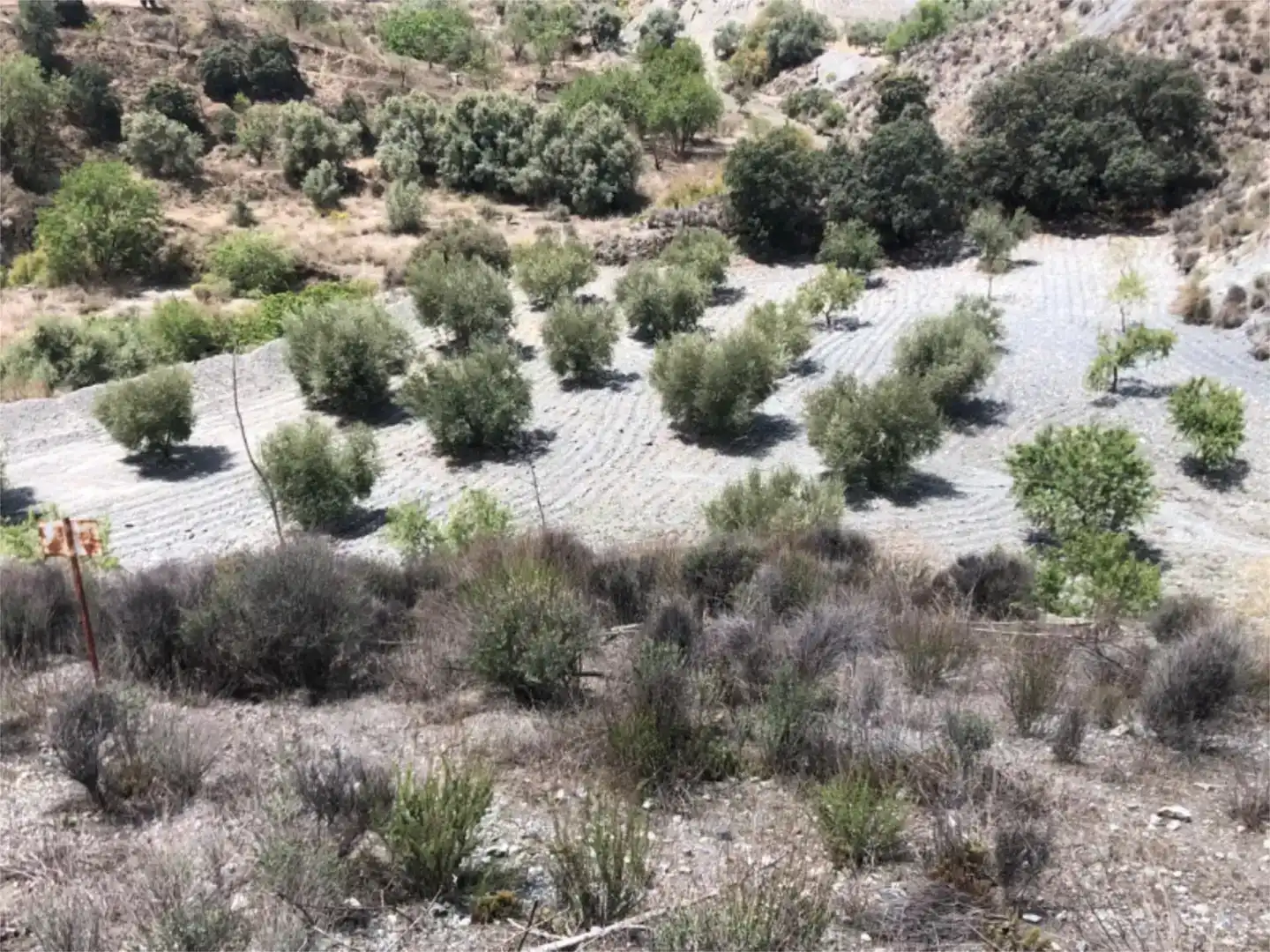 Land for sale in Lorca