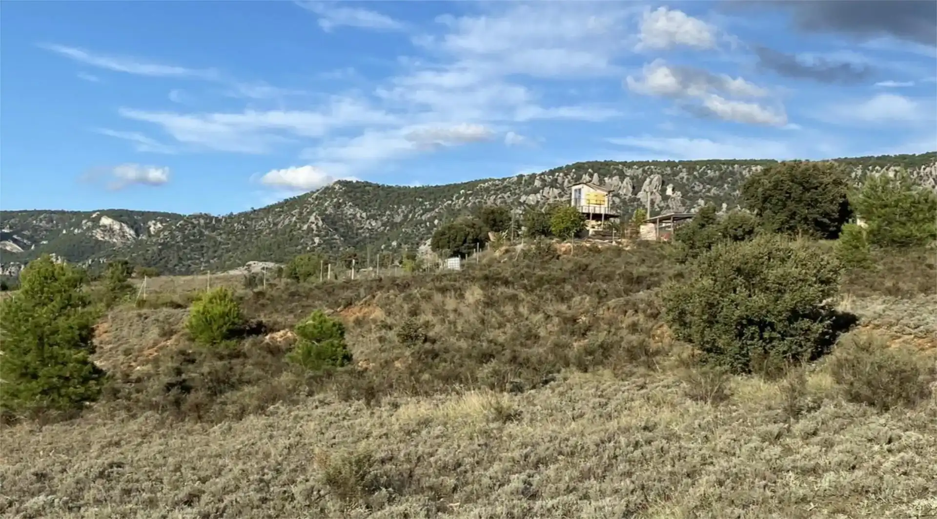 Land for sale in Cañamares