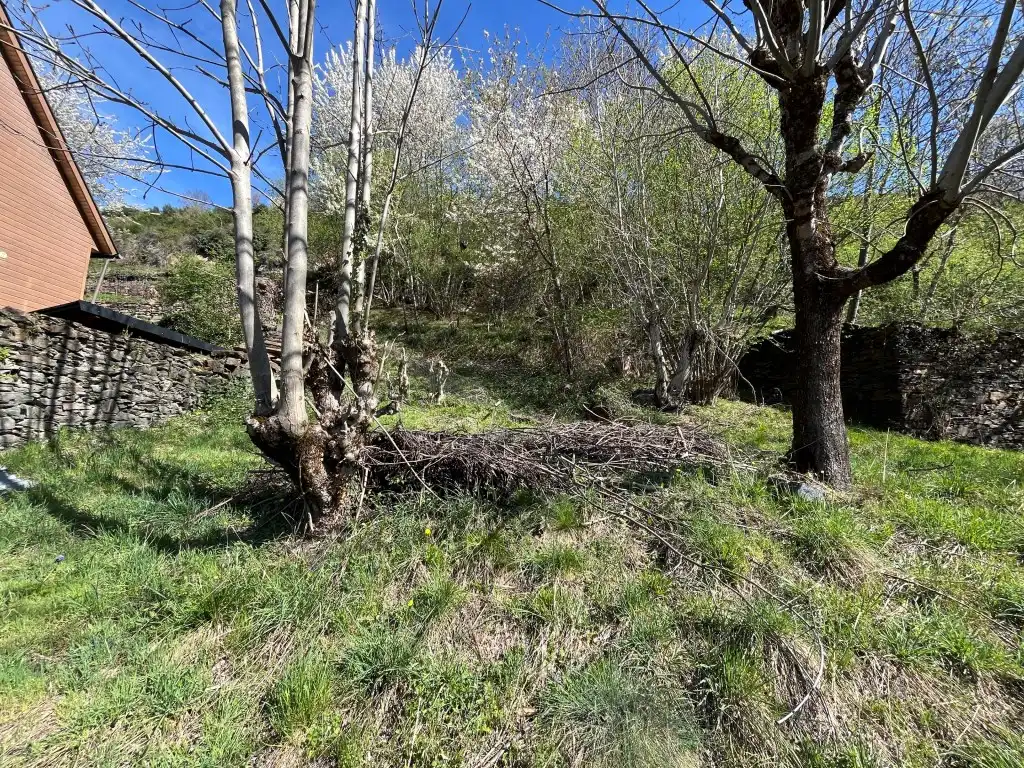 Terreno residencial en venta en Calle Mayor 55, imagen 3