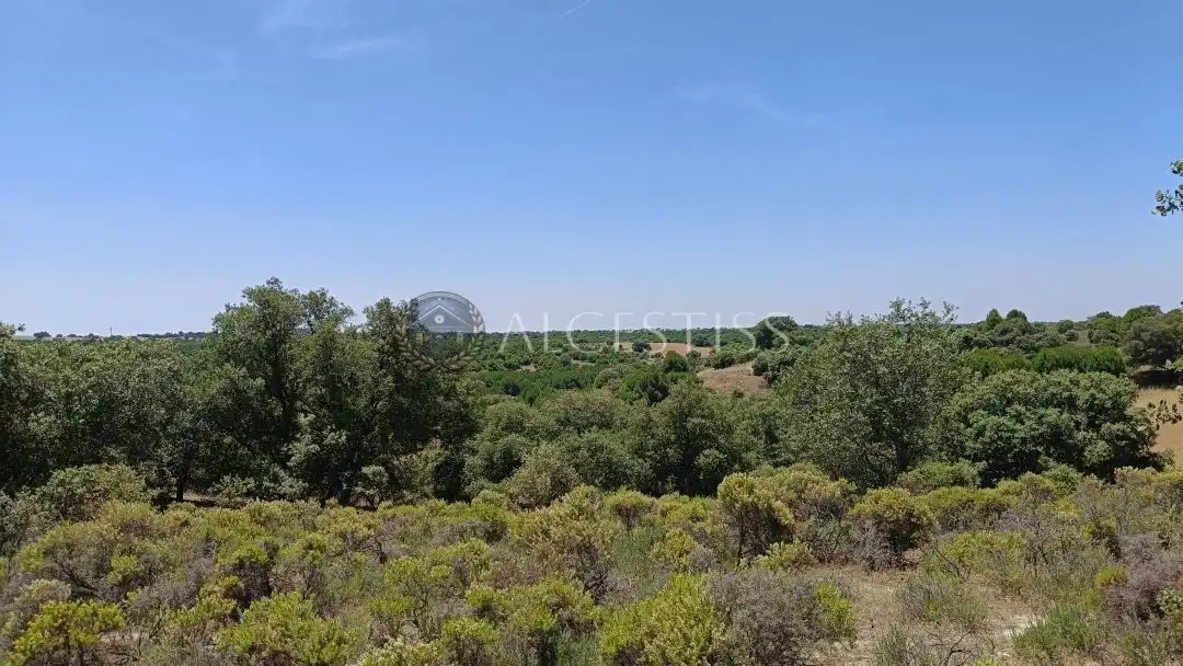 Terreno en venta en La Torre de Esteban Hambrán