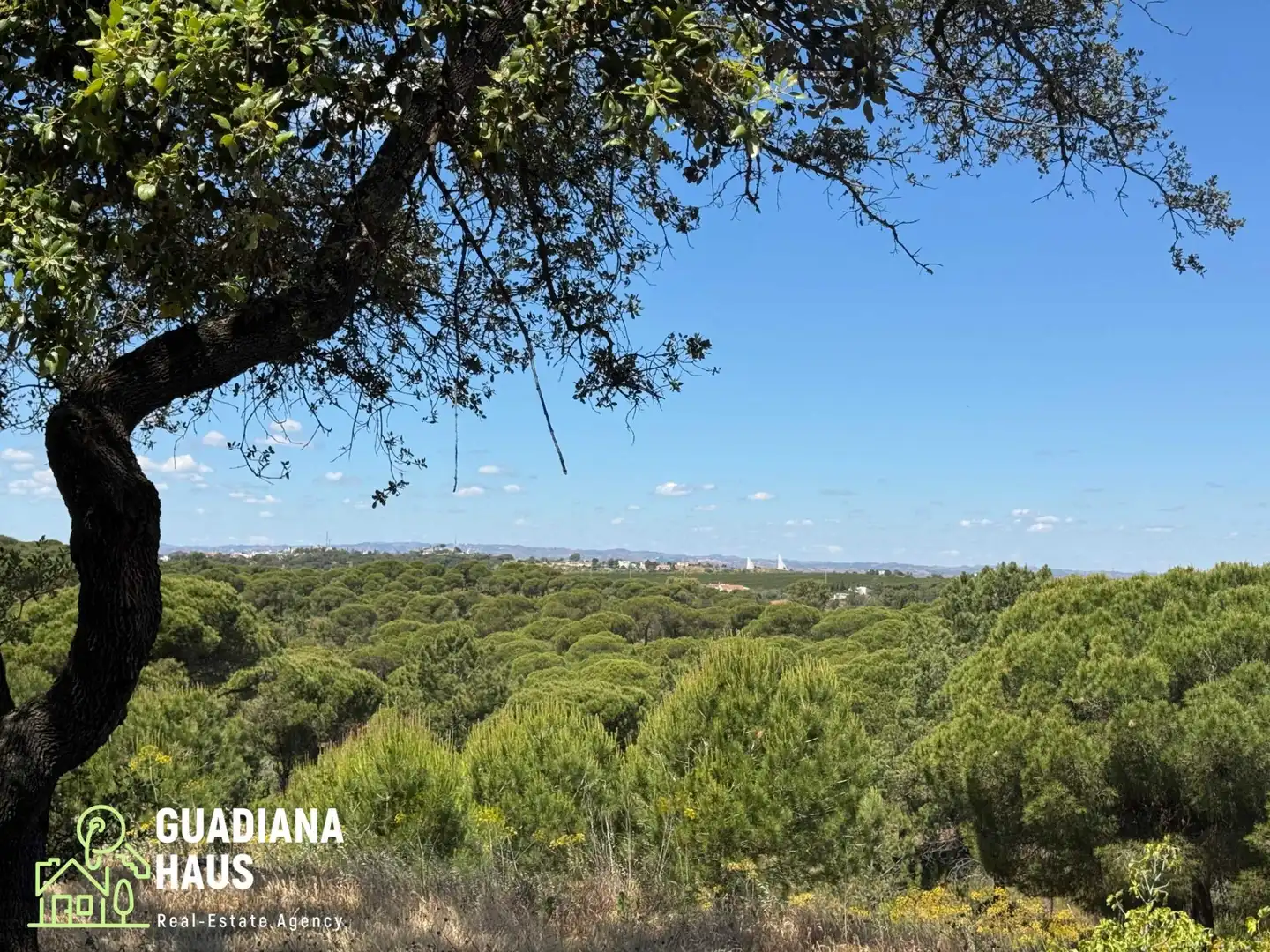 Vista exterior de Finca rústica en venda en Ayamonte