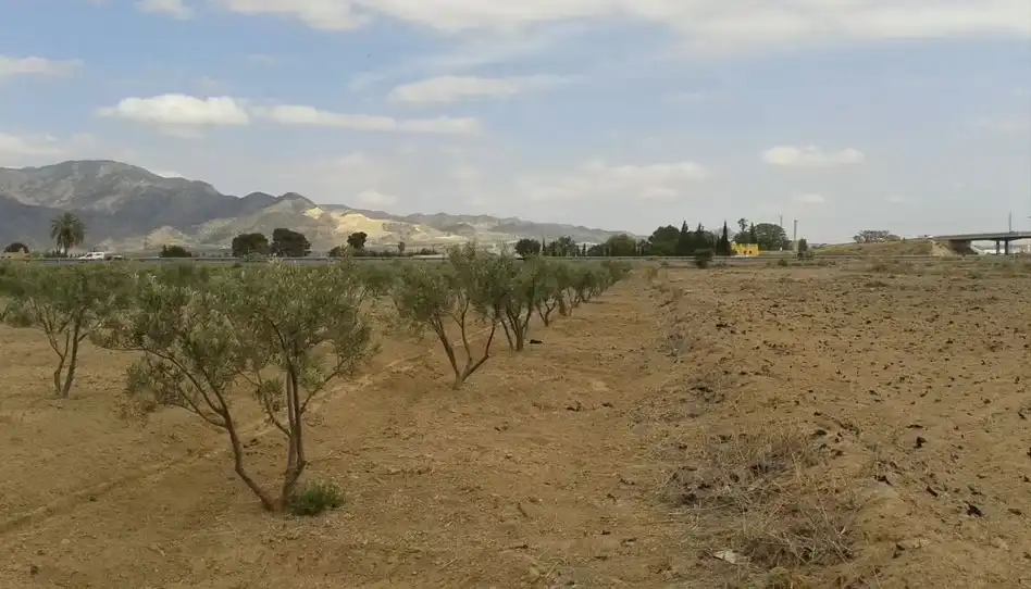 Terreni e lotti in vendita a Alhama de Murcia ciudad, imagen 27