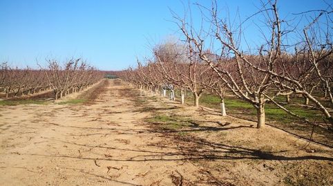Finca rústica en venta, imatge 5