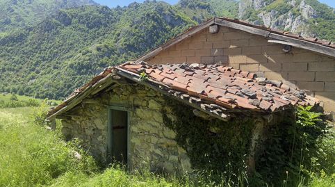 BAJADA DE PRECIO!! UNA CABAÑA, DOS CUADRAS,  Y FINCA EN CUEVAS, PARA REFORMA CON AGUA DE MANANTIAL,  FELECHOSA ALLER, image 3