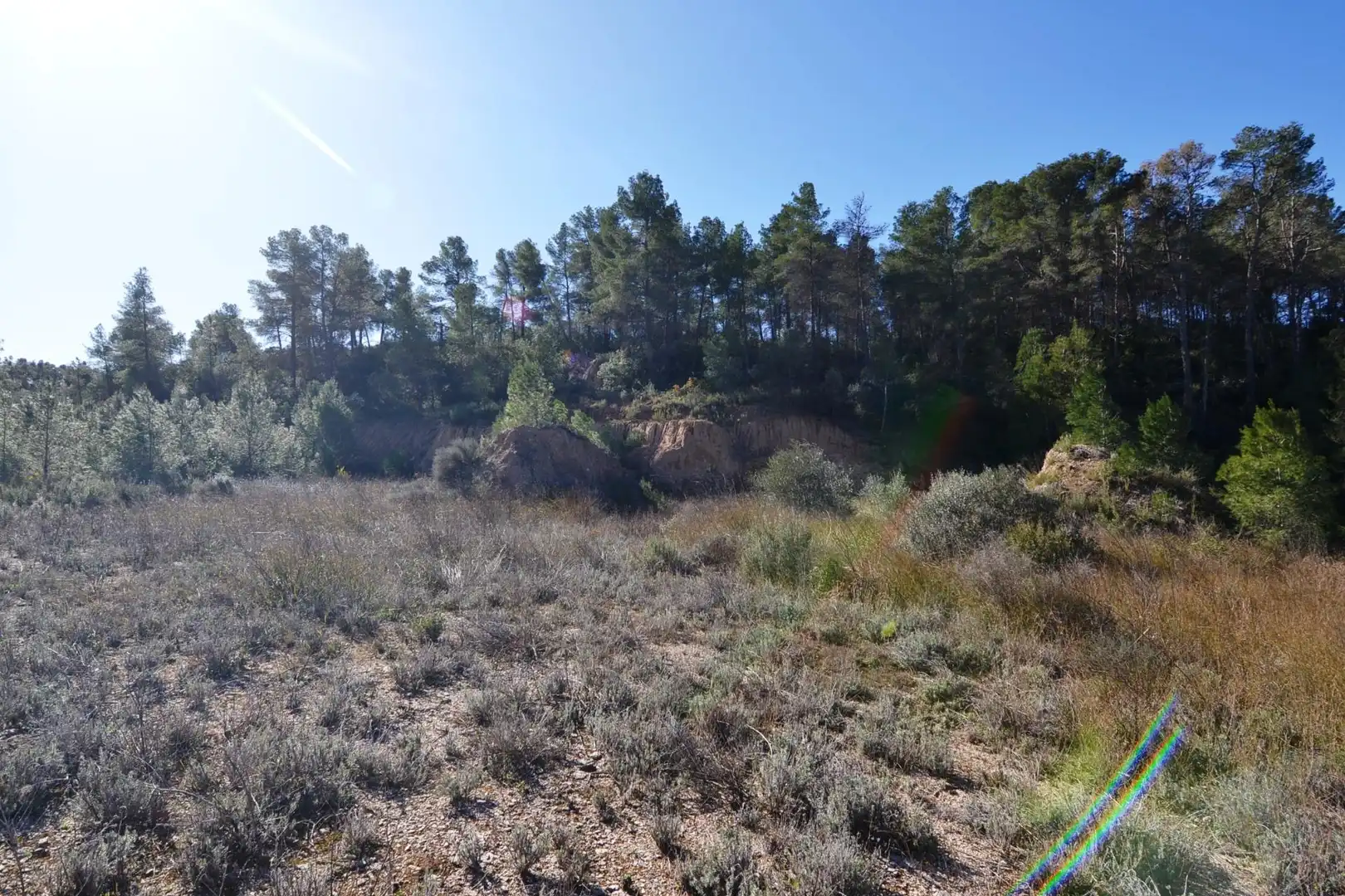 Rural land for sale in Ascó, imagen 32