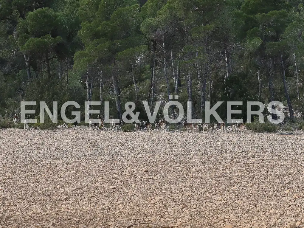 Finca rústica en venda en Ayora amb Calefacció, Jardí privat i Terrassa