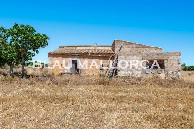 Finca rústica en Venta en Manacor Centre