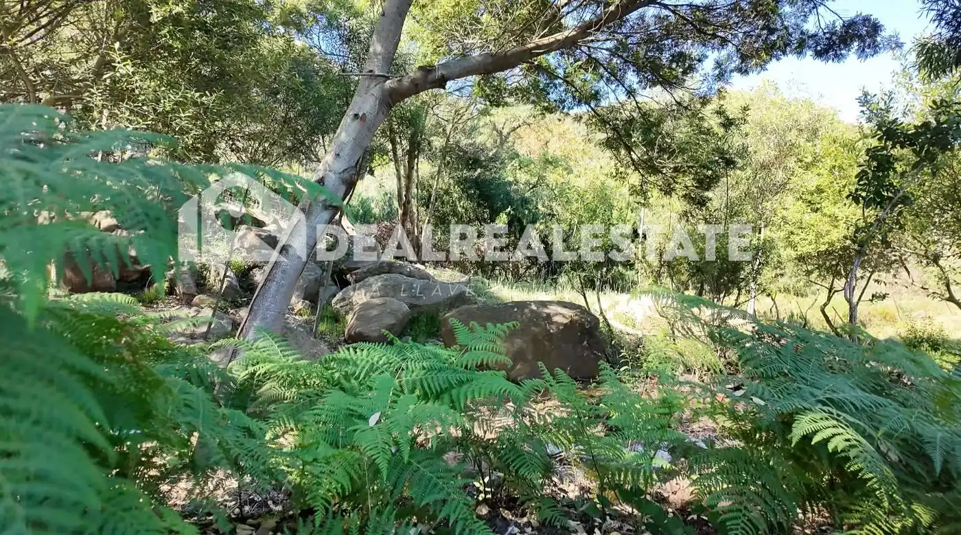 Terreni e lotti in vendita a CUARTON EL, imagen 12