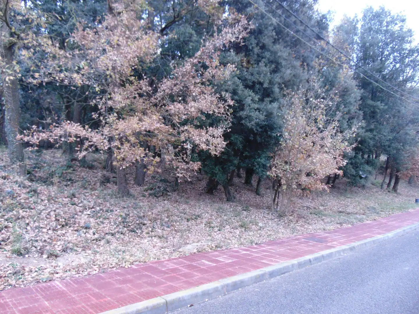 Residential land for sale in del Castell de la Popa 23, imagen 2