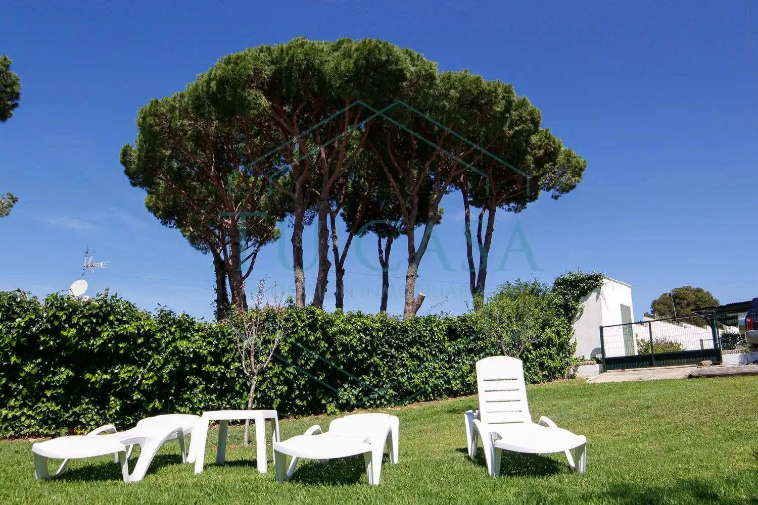 Villa con piscina in affitto a Los Gallos, imagen 23
