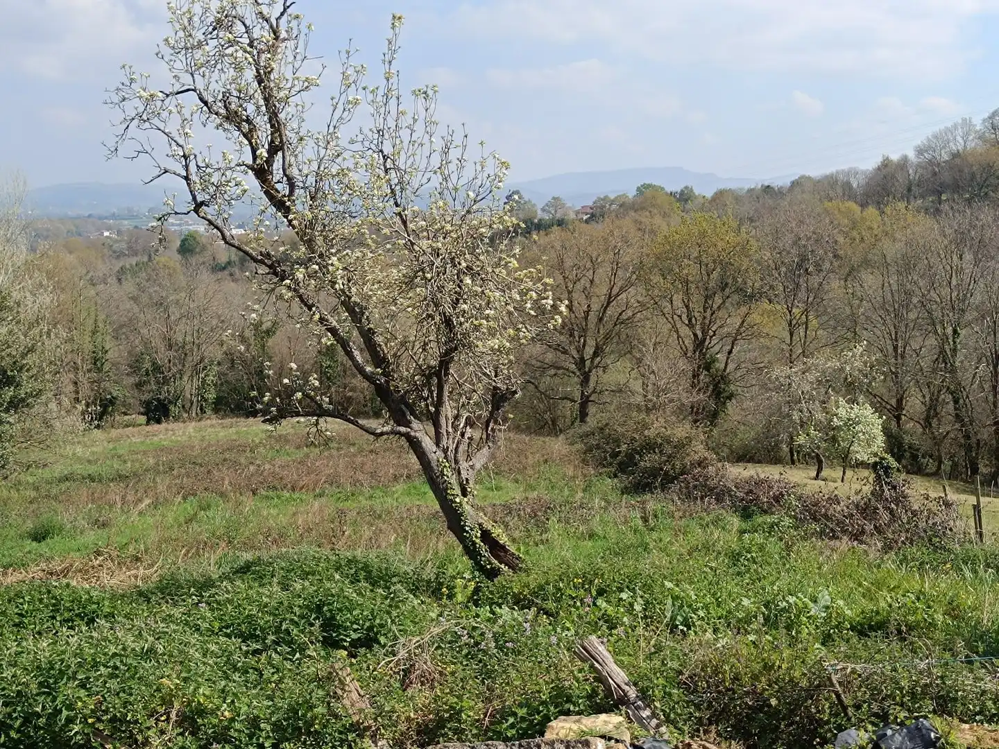Casa o chalet en venta en Siero con Piscina