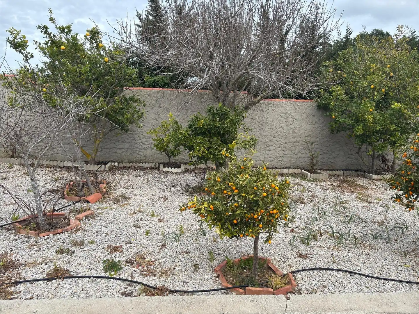 Casa rústica amb jardí en venda a Vejer, imagen 29
