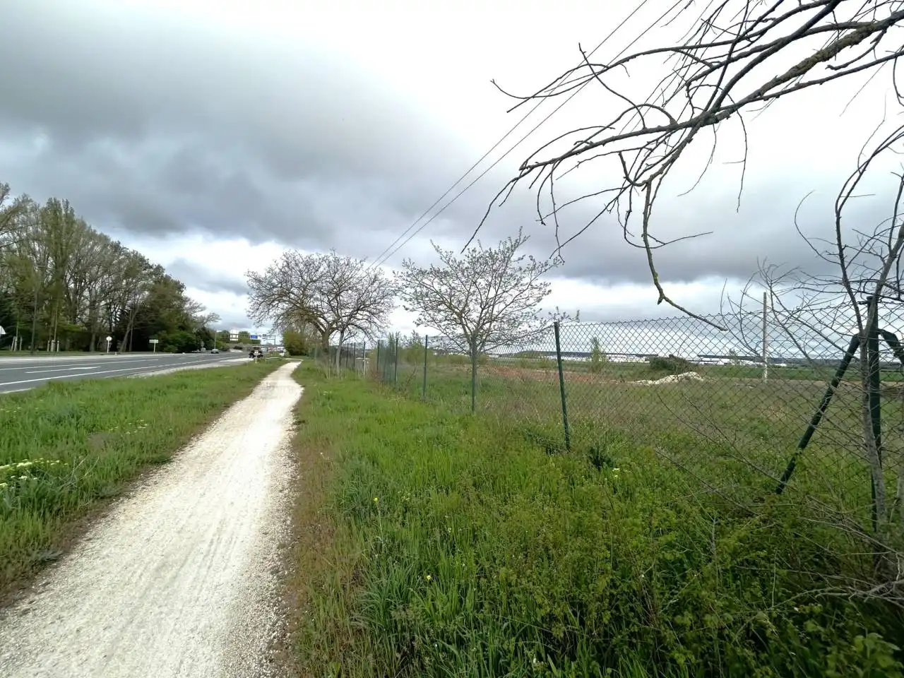 Industrial land for sale in Carretera Logroño, imagen 13