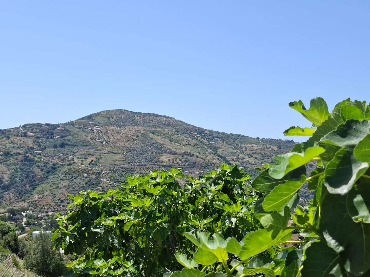 Country house with pool for sale in Cómpeta, imagen 51