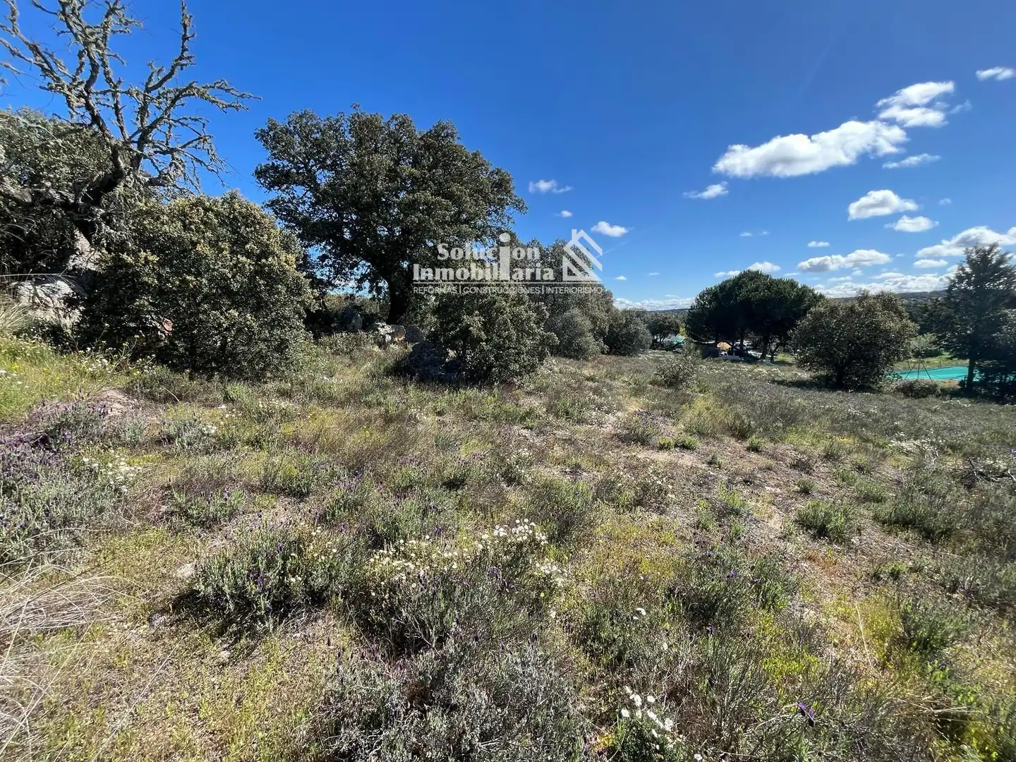 Terreno en venta en Terradillos