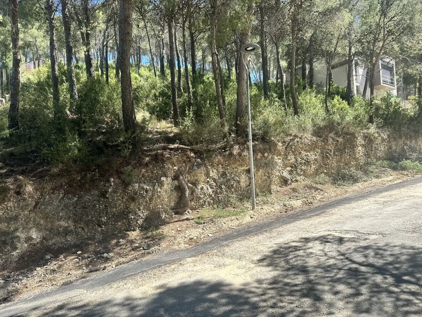 Wohnbaugrundstück zum Verkauf in Torres Torres, imagen 11