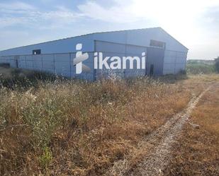 Industrial buildings for sale in Oropesa