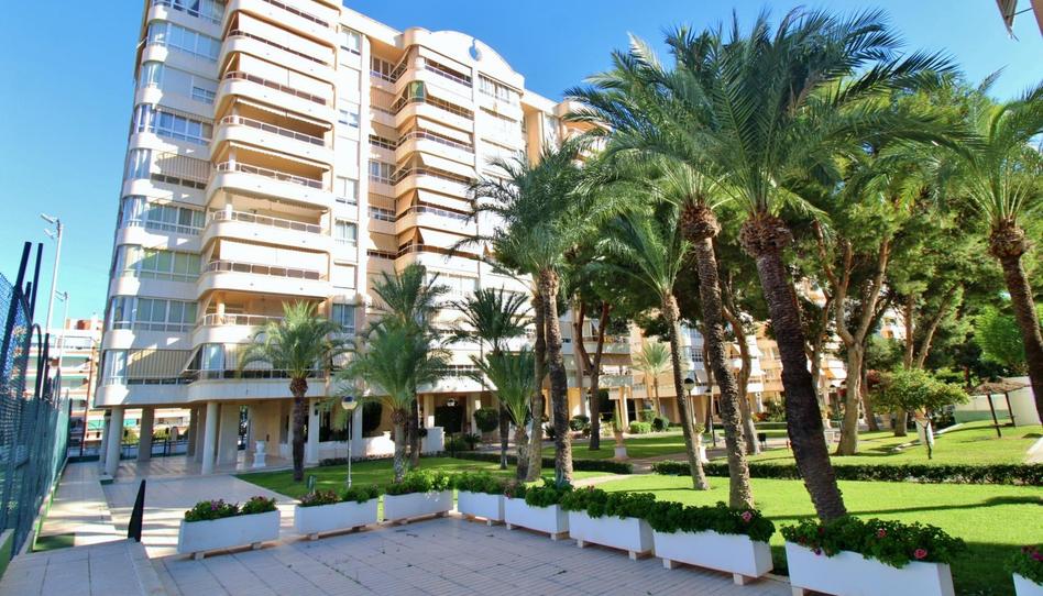 Photo 1 of Flat to rent in Playa de San Juan, Alicante