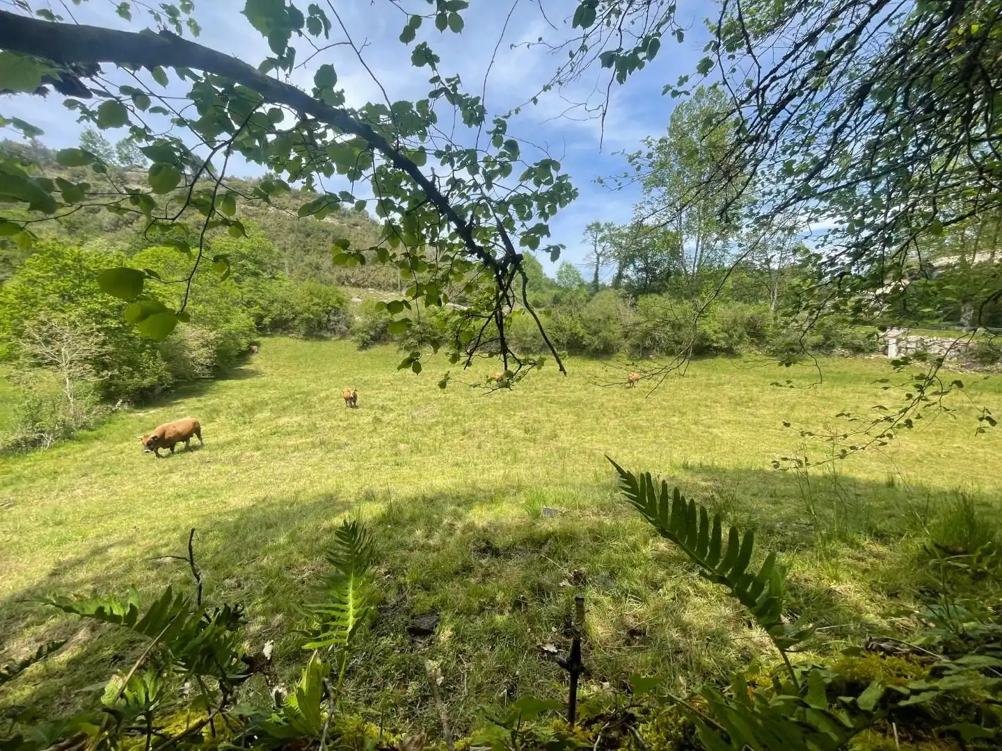 Terrenos y solares en venta en Valdáliga, imagen 2