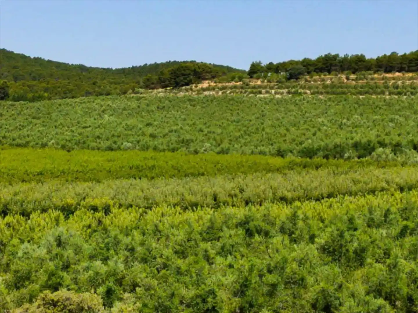 Wohnung zur Miete in Alcoy / Alcoi mit Klimaanlage, Privatgarten und Schwimmbad