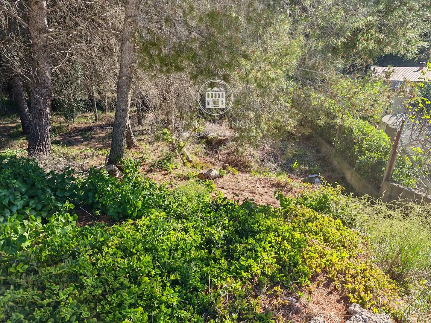 Terreny residencial en venda a Gaia-Ur Can Gordei, imagen 6