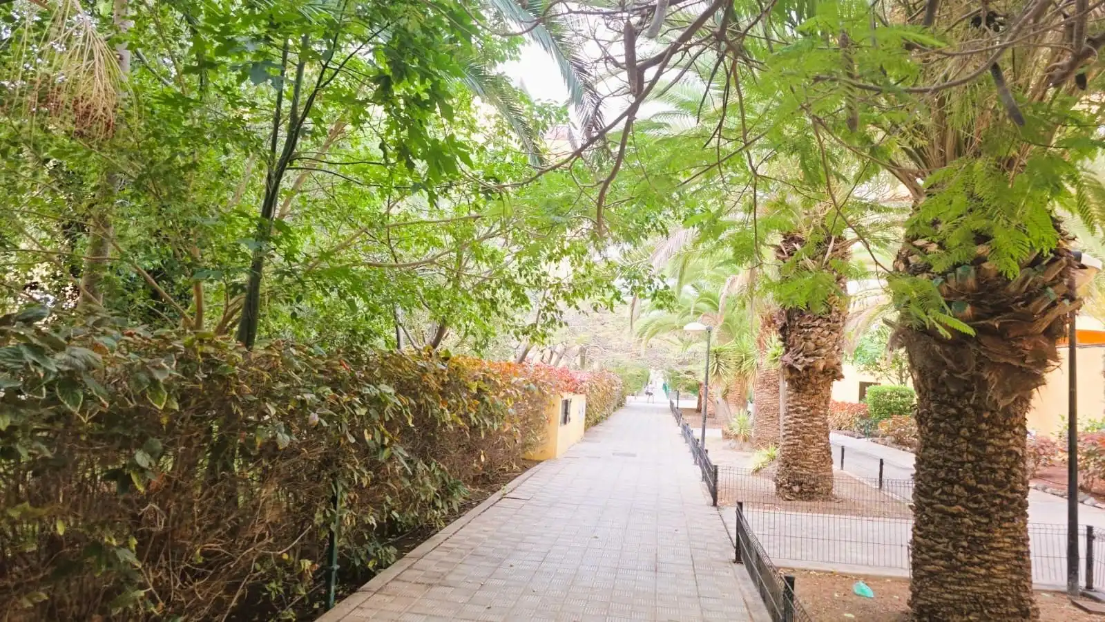 Außenansicht von Wohnungen zum Verkauf in Arona mit Privatgarten, Terrasse und Alarm