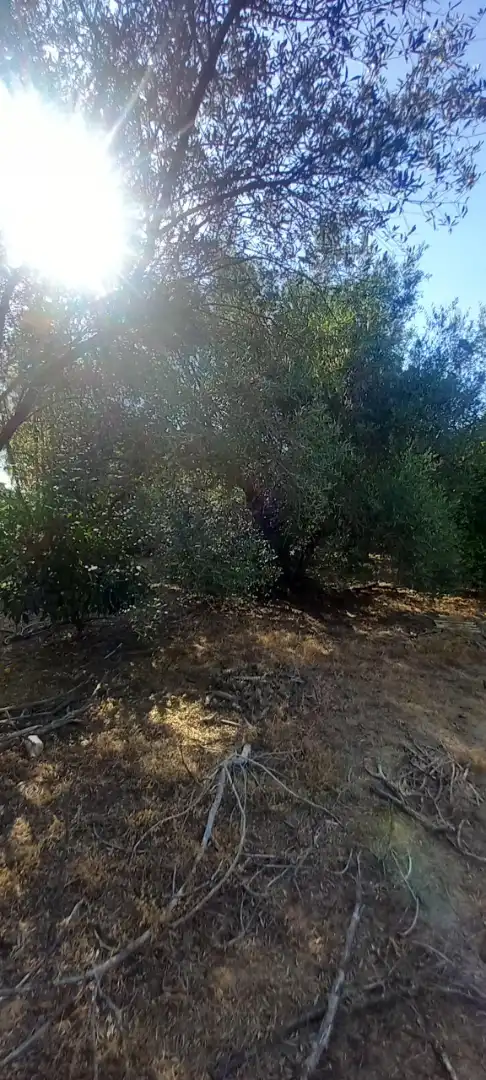 Terreni e lotti in vendita a Urbanización Casablanca, imagen 22