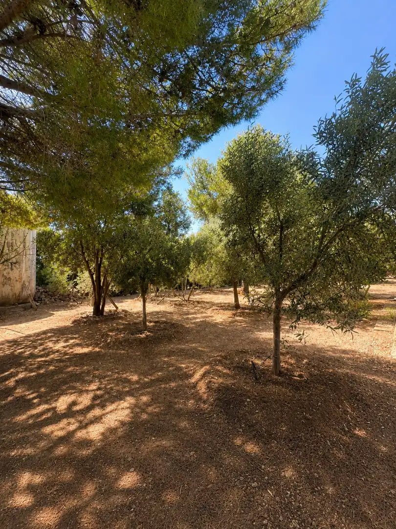 Chalet con jardín en venta en Tomelloso, imagen 17