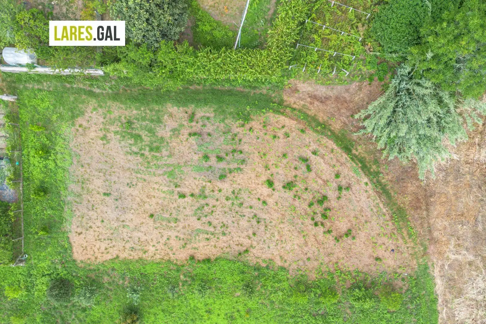 Terrain rustique à vendre à Lugar de Pozonegro, imagen 3