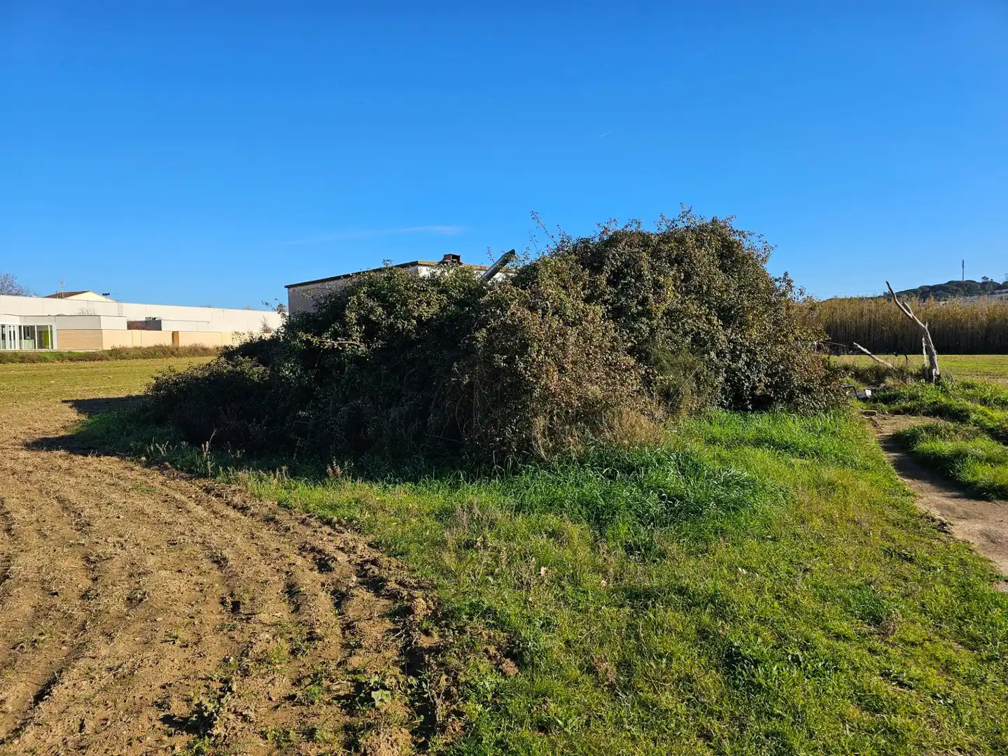 Residencial en venda en Palamós