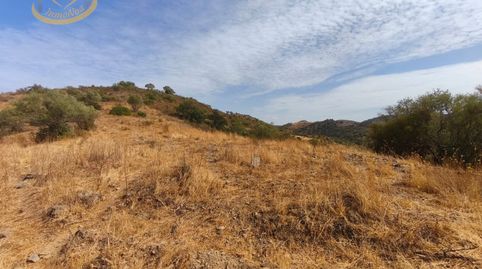 Terreno en venta en Sanlúcar de Guadiana (Huelva)