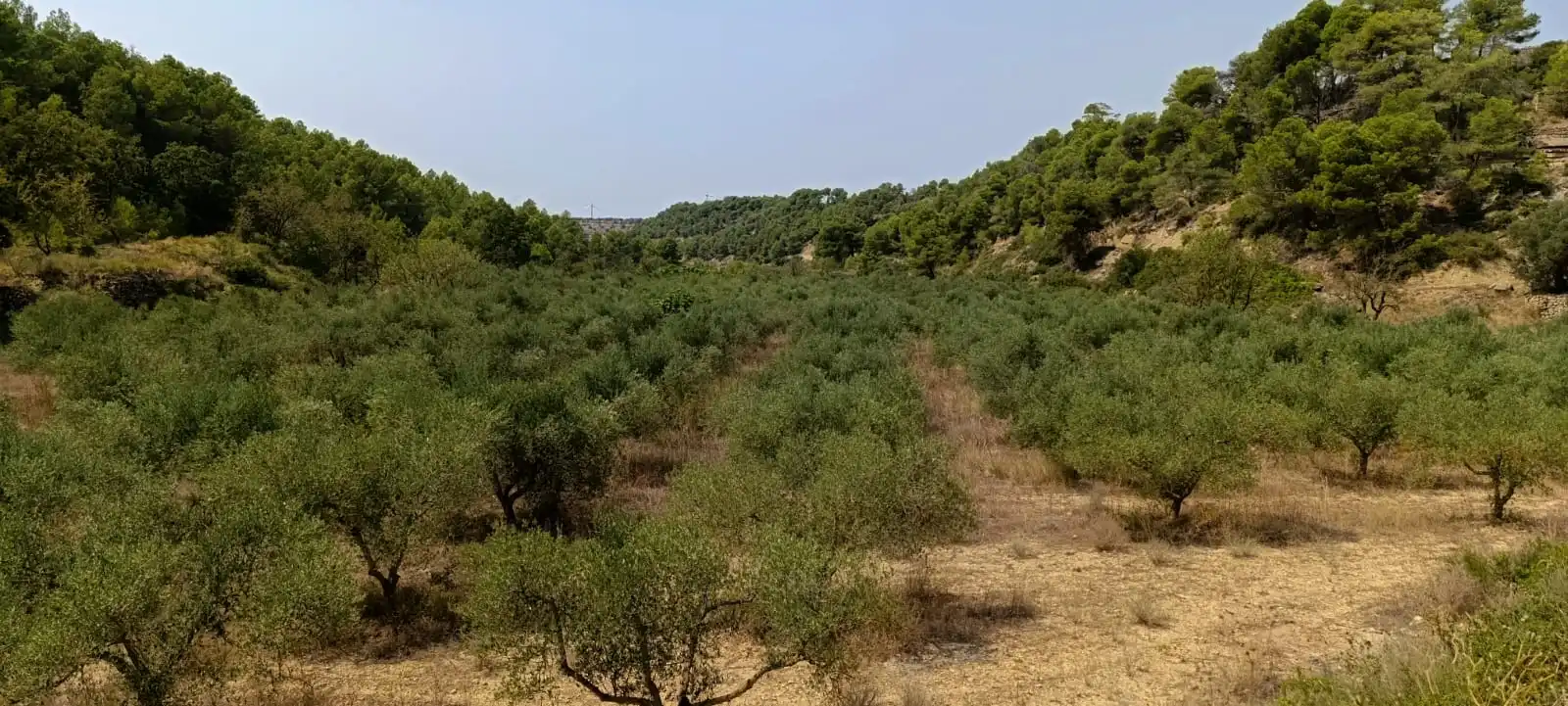 Residencial en venda en Vilalba dels Arcs
