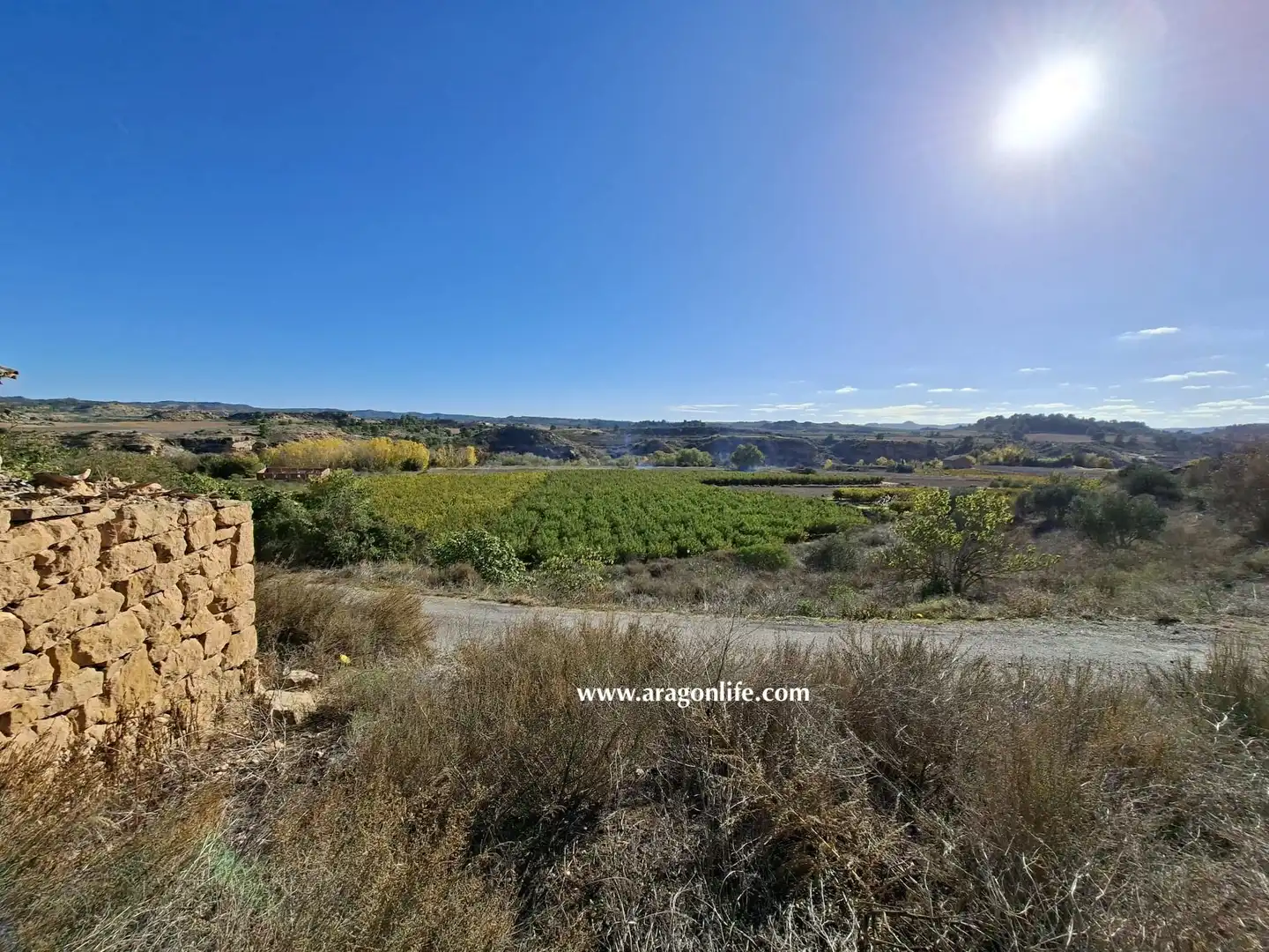 Finca rústica en venta en Caspe