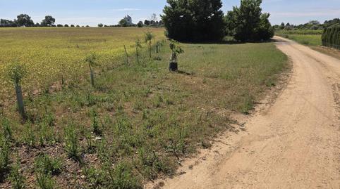 Foto 3 de Casa o xalet en venda a Los Majuelos, Santa María de Gracia, Murcia