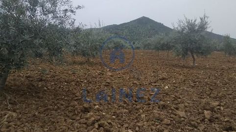 Finca totalmente llana con casa y nave en aldea del Hoyo municipio de Belmez. Con una superficie de 18.896, 
Con acceso por camin, imatge 4