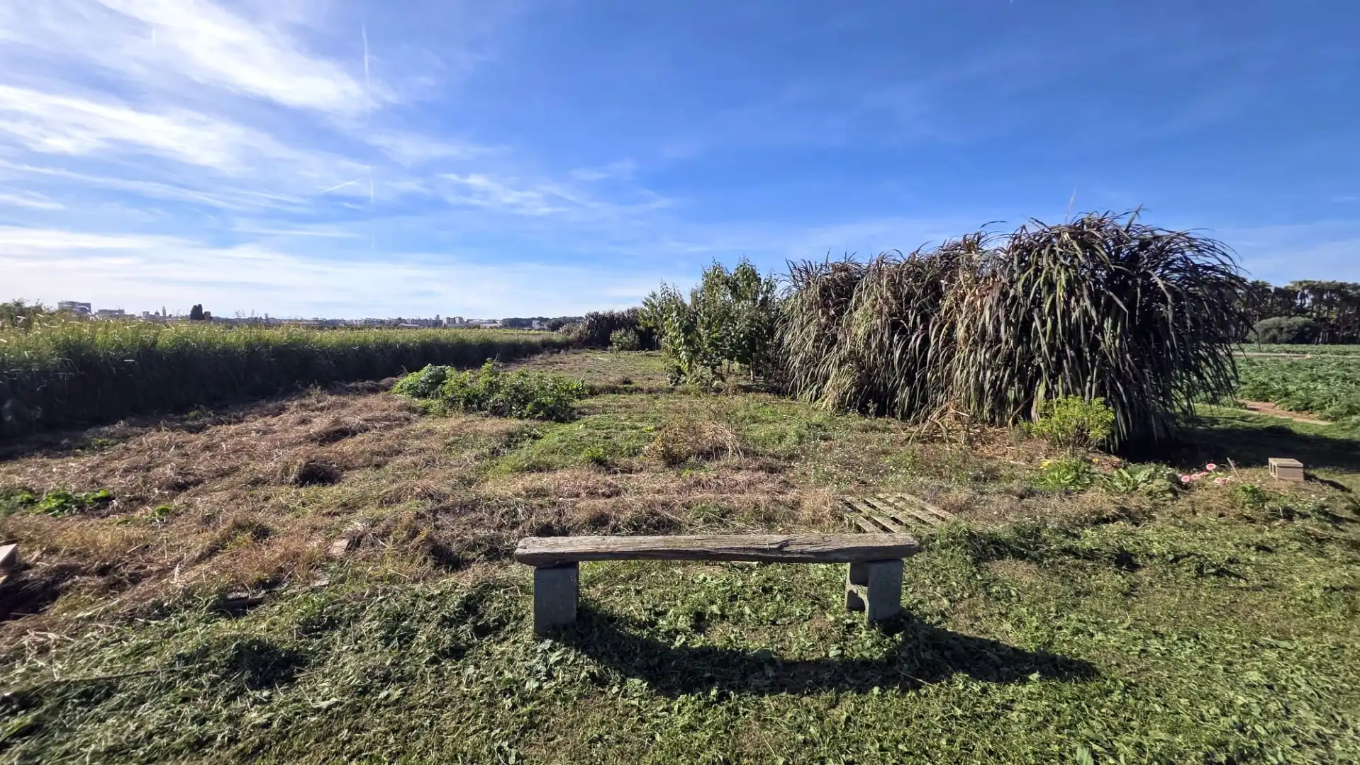 Land for sale in Valencia