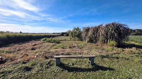 Photo 2 of Land for sale in Camino de Borbotó a Masarrochos, 35, Borbotó, Valencia