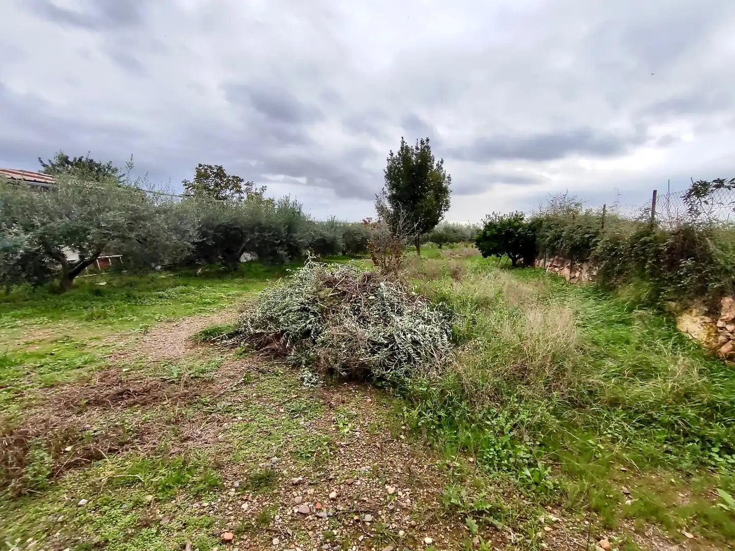 Land for sale in Vilallonga del Camp