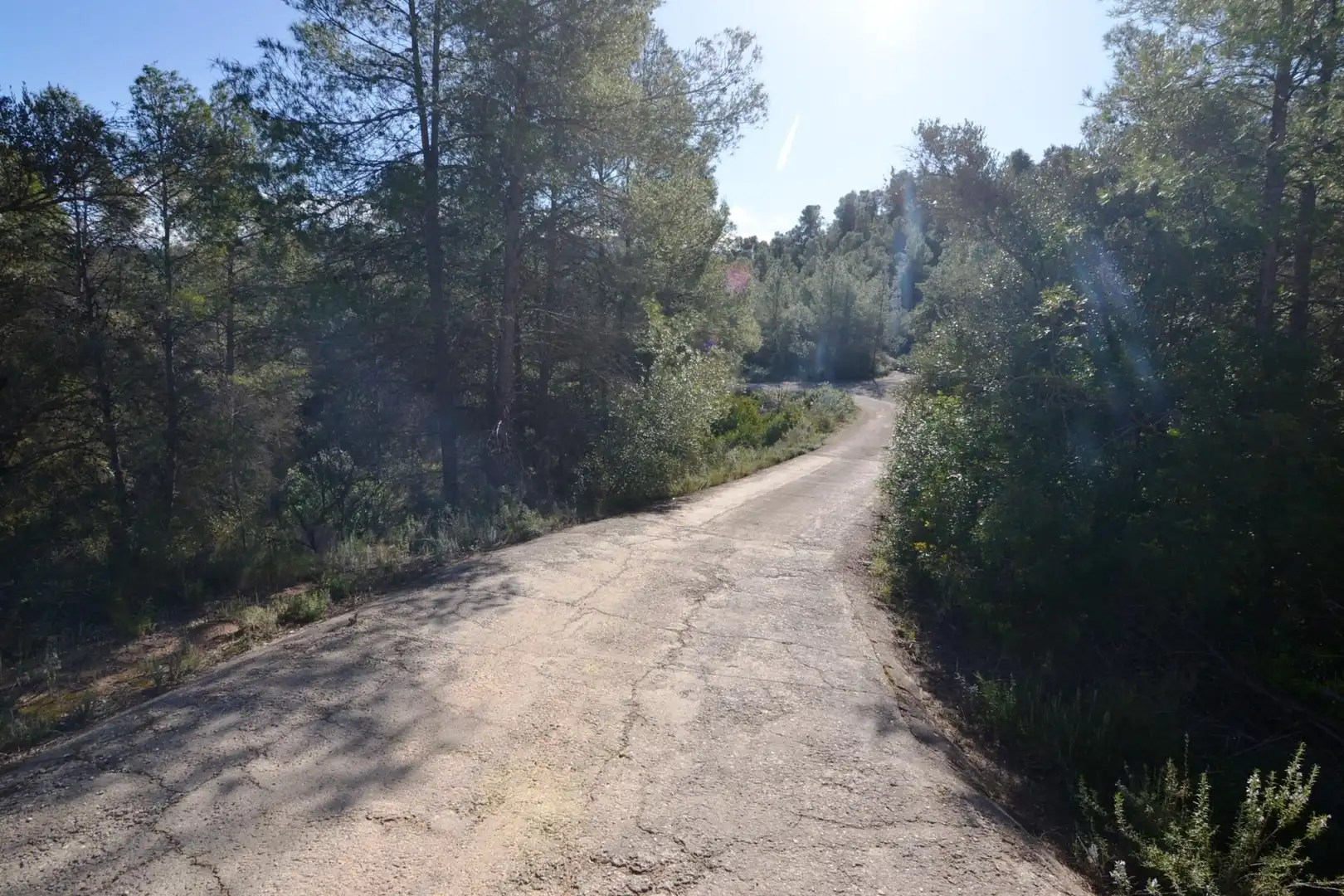 Rural land for sale in Ascó, imagen 7