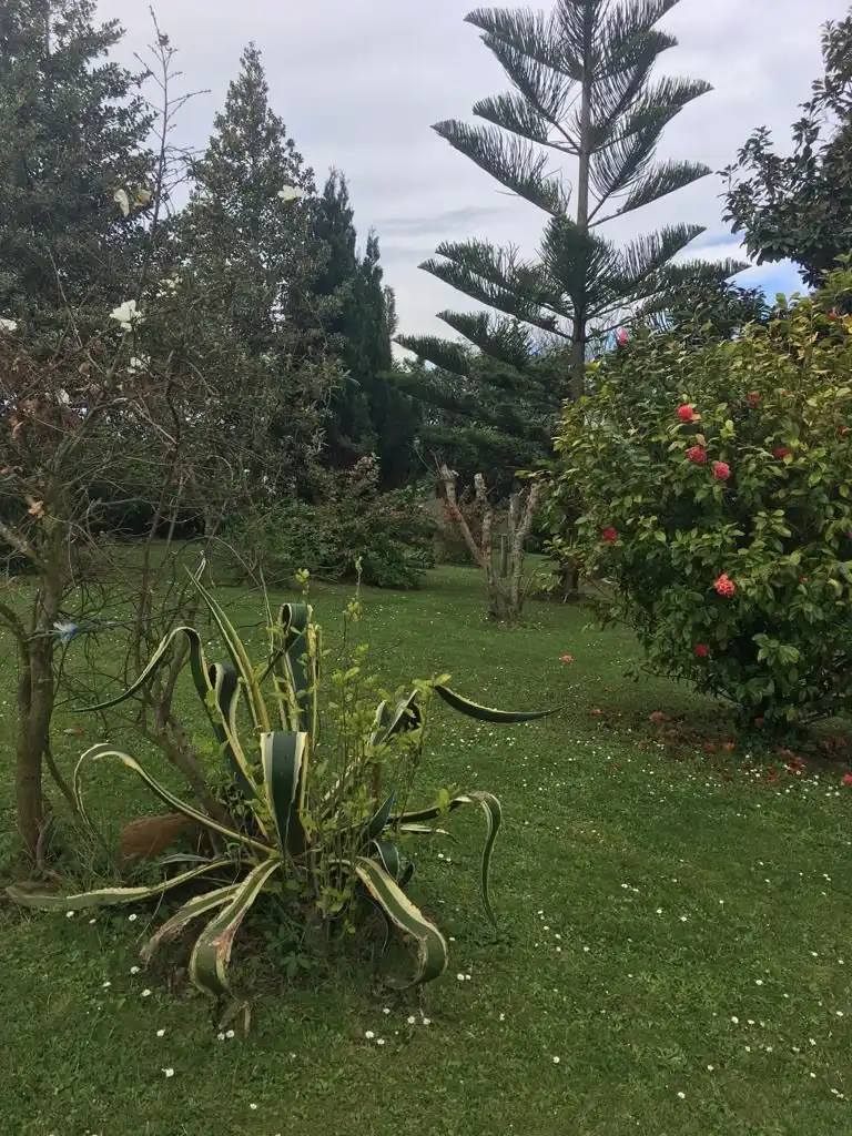 Garden of Houses for sale in Navia  with Private garden and Storage room