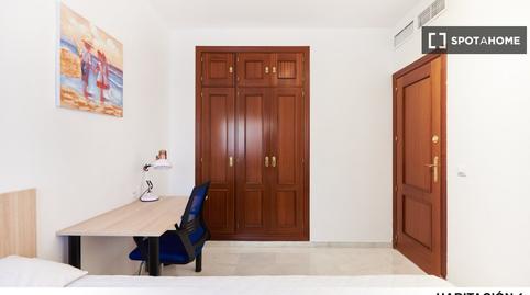 Photo 5 of Flat to share in La Oliva,  Sevilla Capital