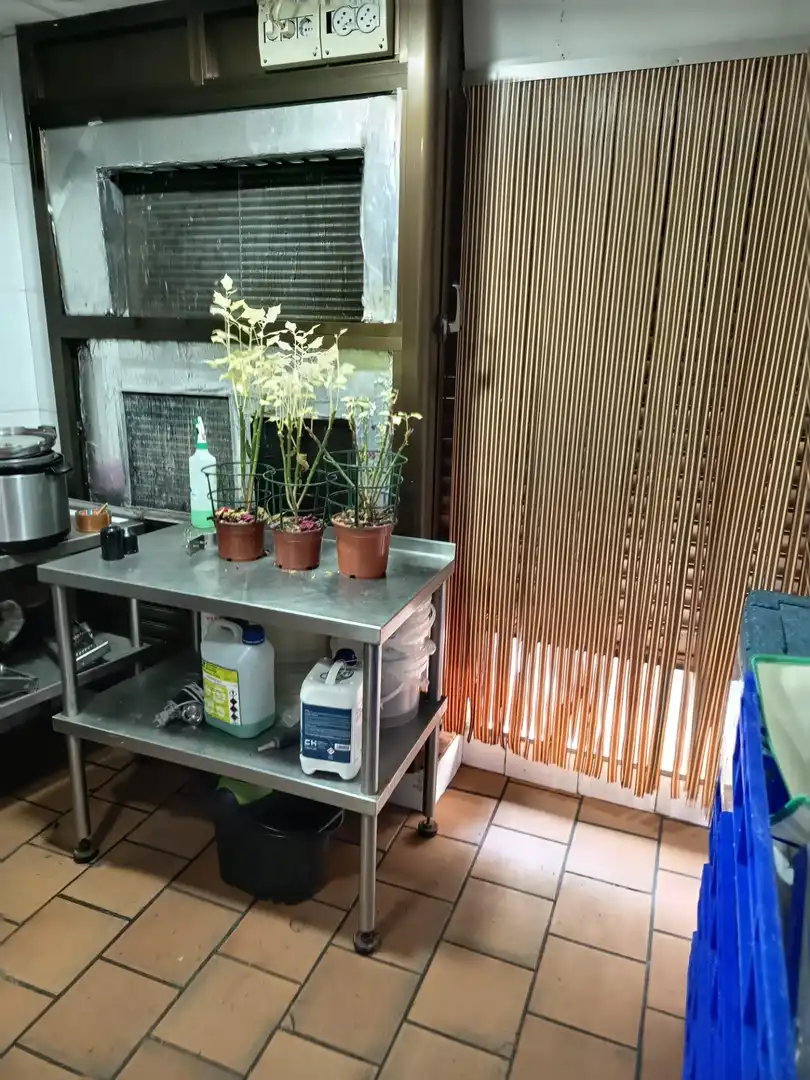 Local comercial en venta en Poniente-Sur, imagen 7