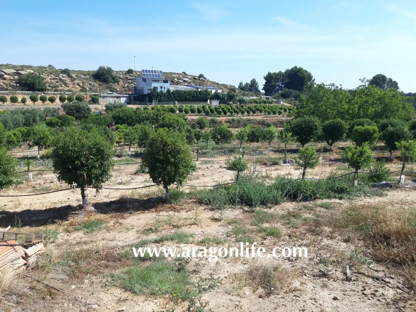 Finca rústica en venta en Caspe con Amueblado