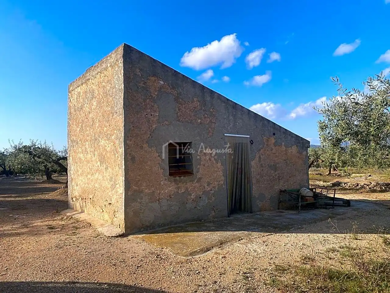 Terreno rustico in vendita a Burgà, imagen 3