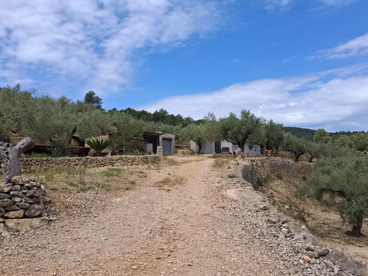Terreno rustico in vendita a El Perelló, imagen 42
